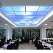 Artificial Sky in Administrative Spaces